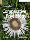JOURNAL OF COMPARATIVE PHYSIOLOGY A-NEUROETHOLOGY SENSORY NE
