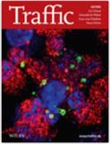 <b>TRAFFIC</b>