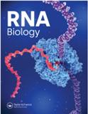 <b>RNA Biology</b>