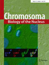 <b>CHROMOSOMA</b>