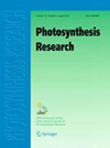 PHOTOSYNTHESIS RESEARCH