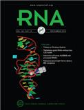 RNA