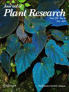 <b>JOURNAL OF PLANT RESEARCH</b>