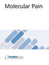 <b>Molecular Pain</b>