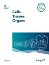 <b>CELLS TISSUES ORGANS</b>