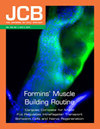 <b>JOURNAL OF CELL BIOLOGY</b>