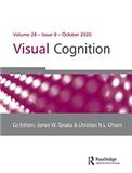 VISUAL COGNITION