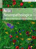 ACTA NEUROPATHOLOGICA